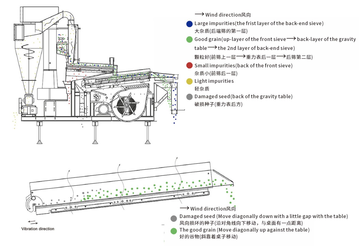 樣本主圖副.JPG